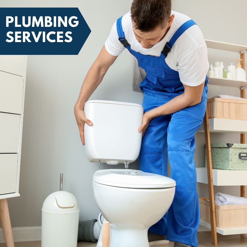 Plumbing Company in Custer, MI